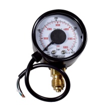 Манометр метан электронный CNGauge, 12V (CNG201E-12V), все системы