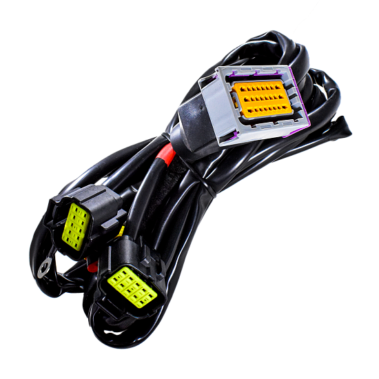 Жгут Alpha MS - 6/8 главный (бензин) Жгут Alpha MS - 6/8 главный (бензин)
